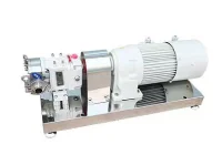 Rotary Lobe Pump
