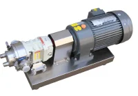 Rotary Lobe Pump