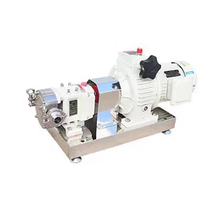 Feeding Pump
