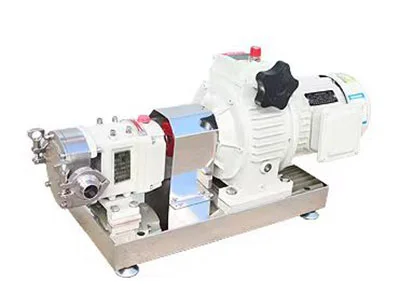 Feeding Pump