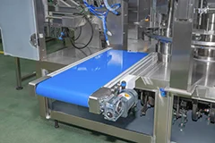Outfeed Conveyor